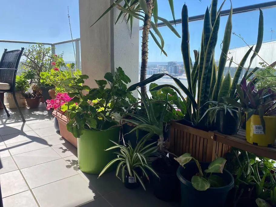 Apartment In The City Perth 1B1B Pool And Nice View